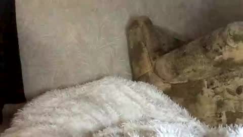 Snapshot of martaluna_ chatting on 11.27.25 Marta online show from 11.27.25