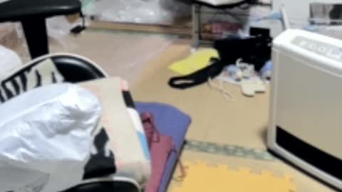 masayann online show from 12.19.24