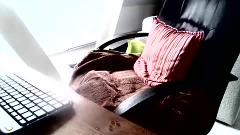 maskime59 online show from 12.09.24