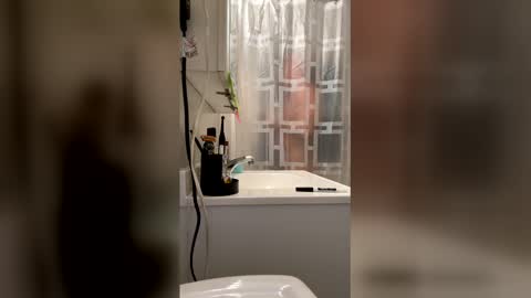 Snapshot of massageartist chatting on 01.17.26 HappyZending online show from 01.17.26