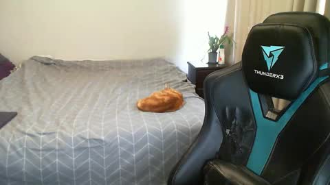 Matchy online show from 01.31.25