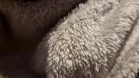 mattca80 online show from 10.04.25