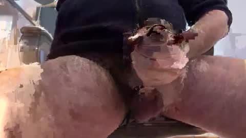 matt online show from 01.09.26