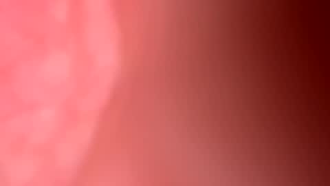 Freekster online show from 03.31.26