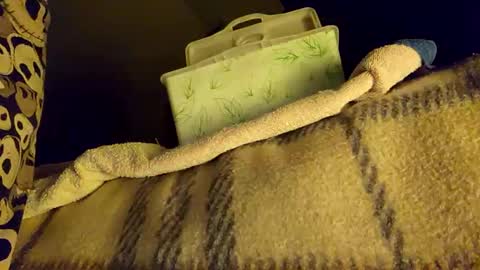 mattshadows667 online show from 01.20.25