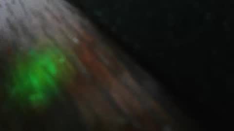 mattw31019 online show from 02.24.26