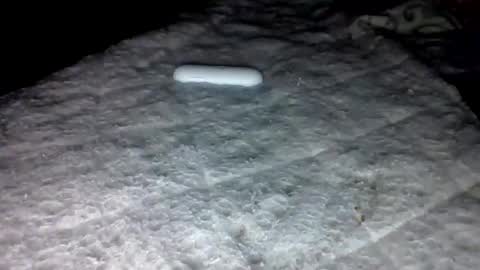 Snapshot of mauricescott chatting on 02.03.26 mauricescott online show from 02.03.26