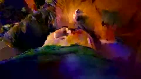 max884572 online show from 04.23.26