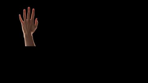 Future Max online show from 02.24.25