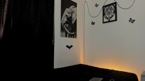 Alex online show from 01.31.25