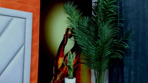 Alex online show from 02.17.26