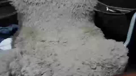 Max online show from 01.07.25