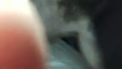 maxxou69hot online show from 05.03.26