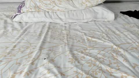 Snapshot of maybelline_666 chatting on 11.20.25 Maybelline69 online show from 11.20.25