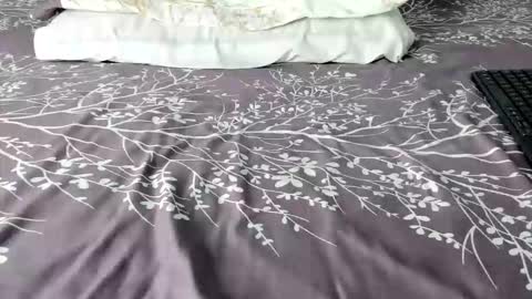 Maybelline69 online show from 02.06.26