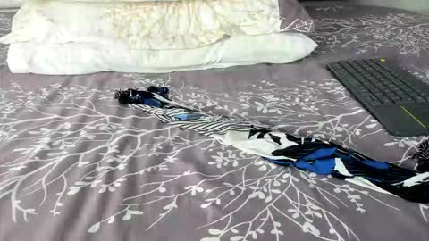 Snapshot of maybelline_666 chatting on 03.02.26 Maybelline69 online show from 03.02.26