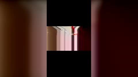 mcgriffwes2 online show from 02.12.26