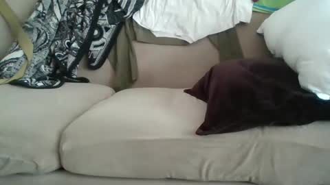 Snapshot of me_likey88 chatting on 02.08.25 yung n hung online show from 02.08.25