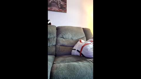 Snapshot of meathome3 chatting on 03.01.26 me at home online show from 03.01.26