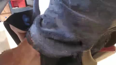 mee9090e900 online show from 09.19.25