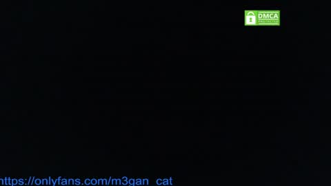 megan_cat online show from 07.04.26