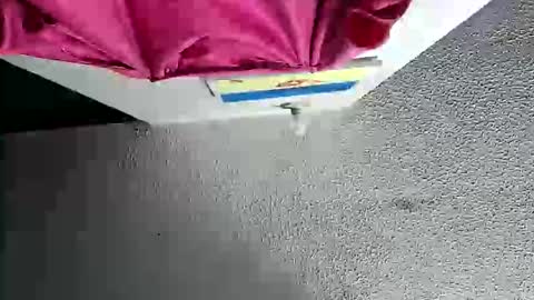 Megan and sophi online show from 10.18.25