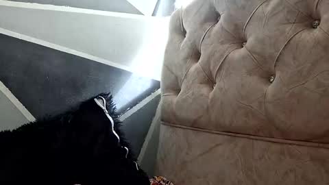 Megan and sophi online show from 10.20.25