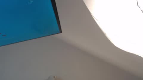 Megan online show from 12.06.24