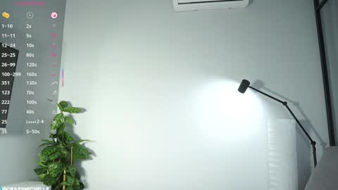 Michelle online show from 02.01.25