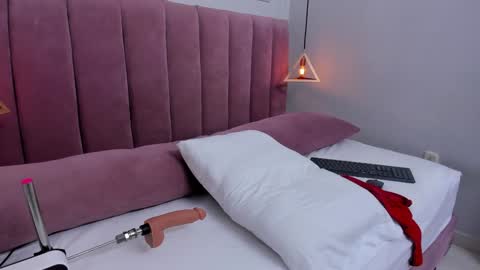 Snapshot of megansaenz_1 chatting on 01.29.25 Megan online show from 01.29.25