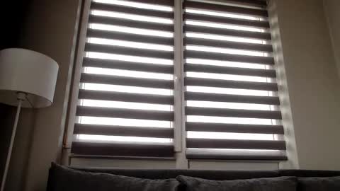 Melania online show from 12.31.24