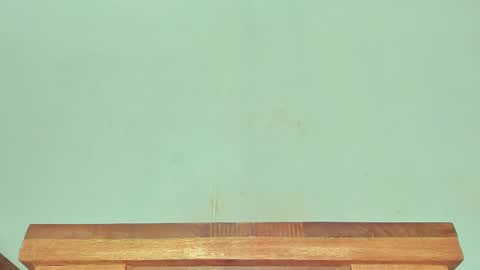 Melania online show from 03.01.25