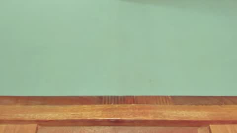 Melania online show from 03.01.25