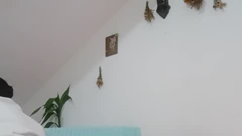 Snapshot of meliss1 chatting on 11.01.25 melissa online show from 11.01.25