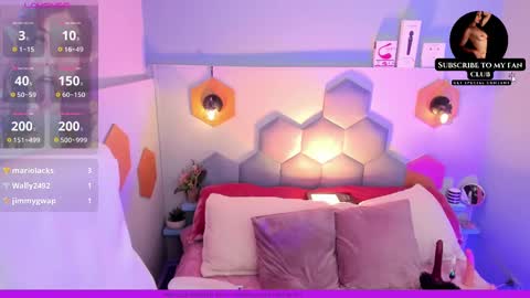 Snapshot of melissa_koster chatting on 02.17.25 Melissa 3 online show from 02.17.25