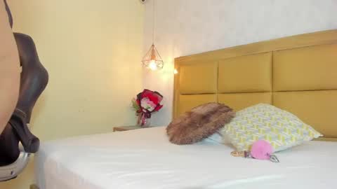    online show from 04.11.26