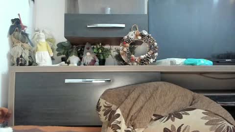 Snapshot of mellbell_ chatting on 01.08.25 MellyMell online show from 01.08.25