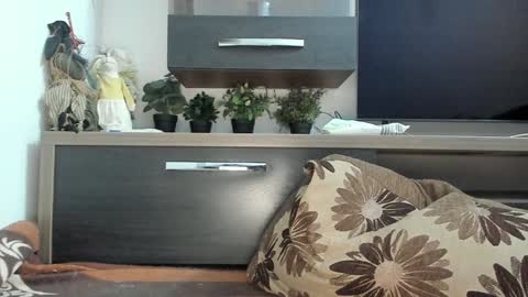 Snapshot of mellbell_ chatting on 01.30.25 MellyMell online show from 01.30.25