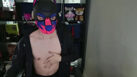 Snapshot of mellpup chatting on 04.02.26 MellPUP online show from 04.02.26