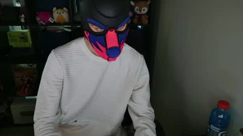 Snapshot of mellpup chatting on 04.05.26 MellPUP online show from 04.05.26