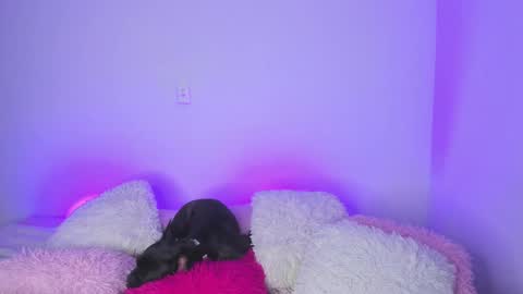    online show from 02.15.25