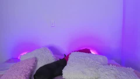    online show from 03.05.25