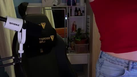 Snapshot of memisecrets chatting on 02.17.26 Megumi Aina online show from 02.17.26