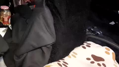 Giorggio Fragacci online show from 01.24.25