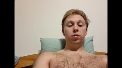 meow732 online show from 12.17.25