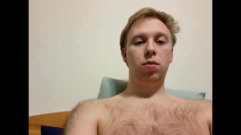 meow732 online show from 12.18.25