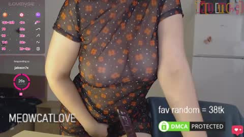 Snapshot of meowcatlove chatting on 01.25.25 meowcatlove online show from 01.25.25