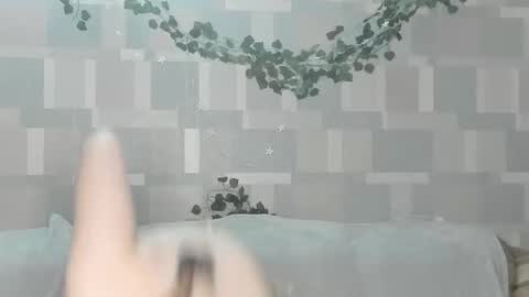 meowcr online show from 02.02.26