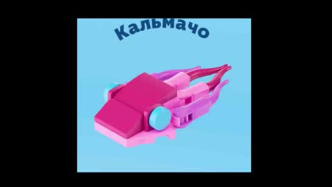 meowcr online show from 02.27.26