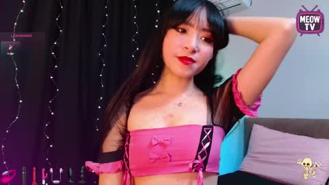 meowkami online show from 11.14.25